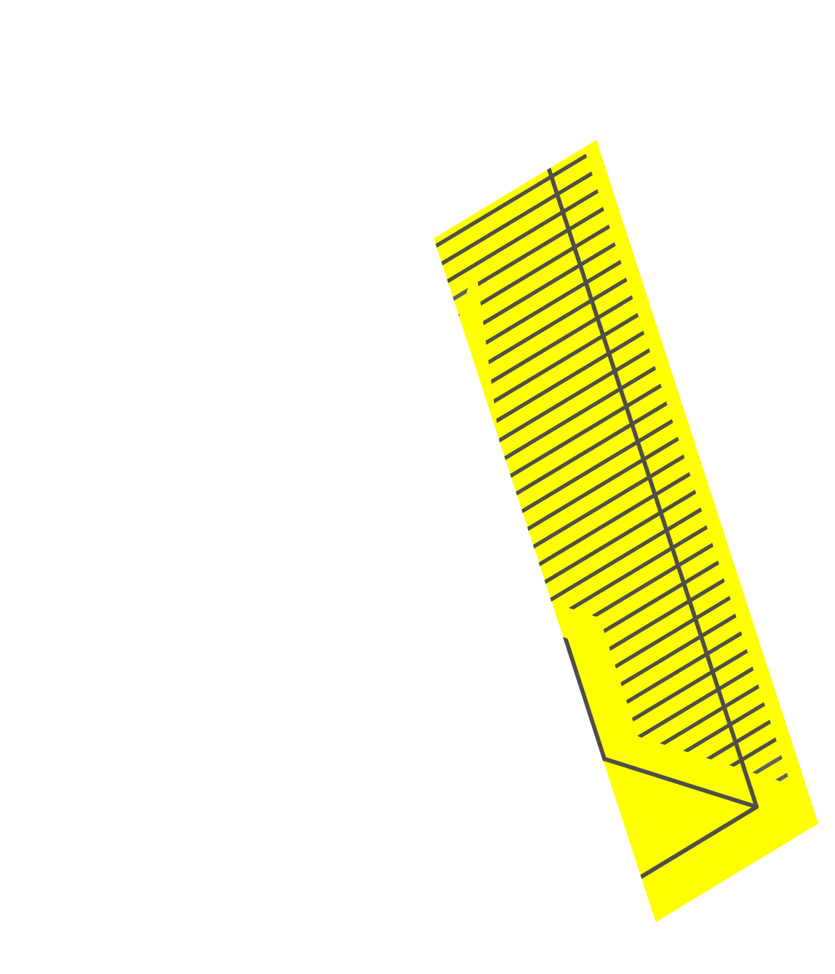 Ankita Ackroyd-Isales